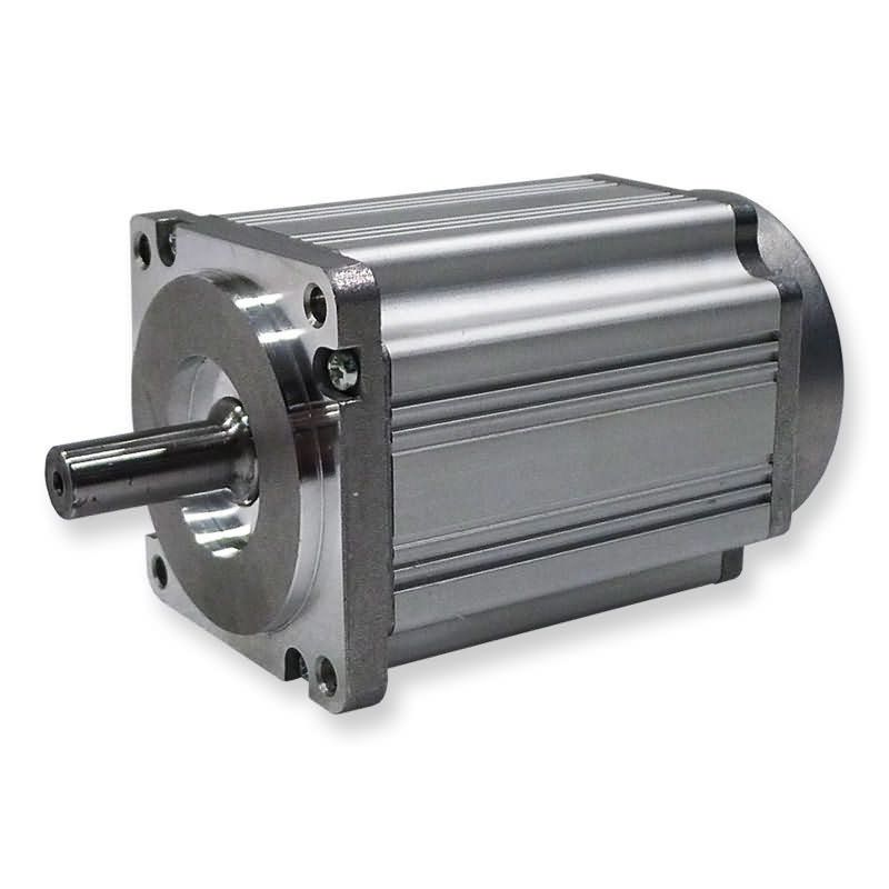 Delta Winding Brushless DC Electric Motor 60ZW3S Series Square 60 * 60