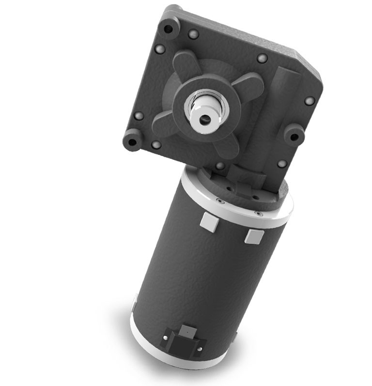 Mcp4 Worm Gear Motor 1251 251 301 501 Gear Ratio